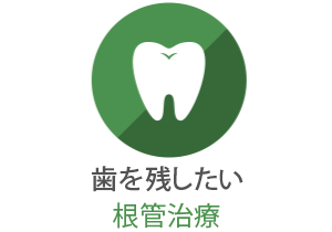 歯を残したい　根管治療
